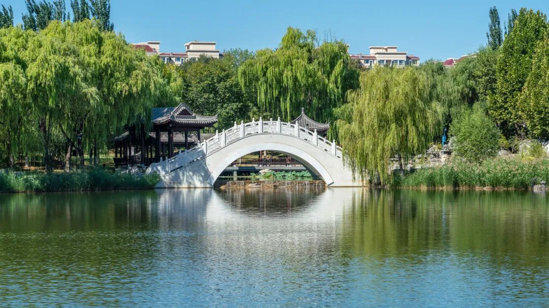 微信图片_20240304161333.png